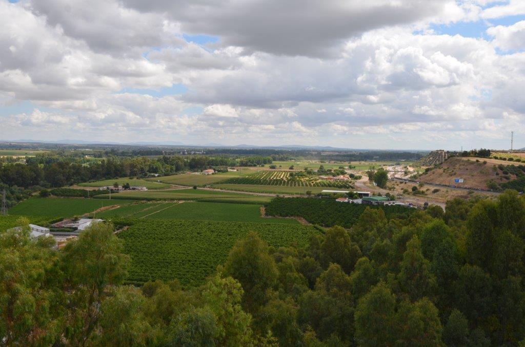 El Lagar Inmobiliaria